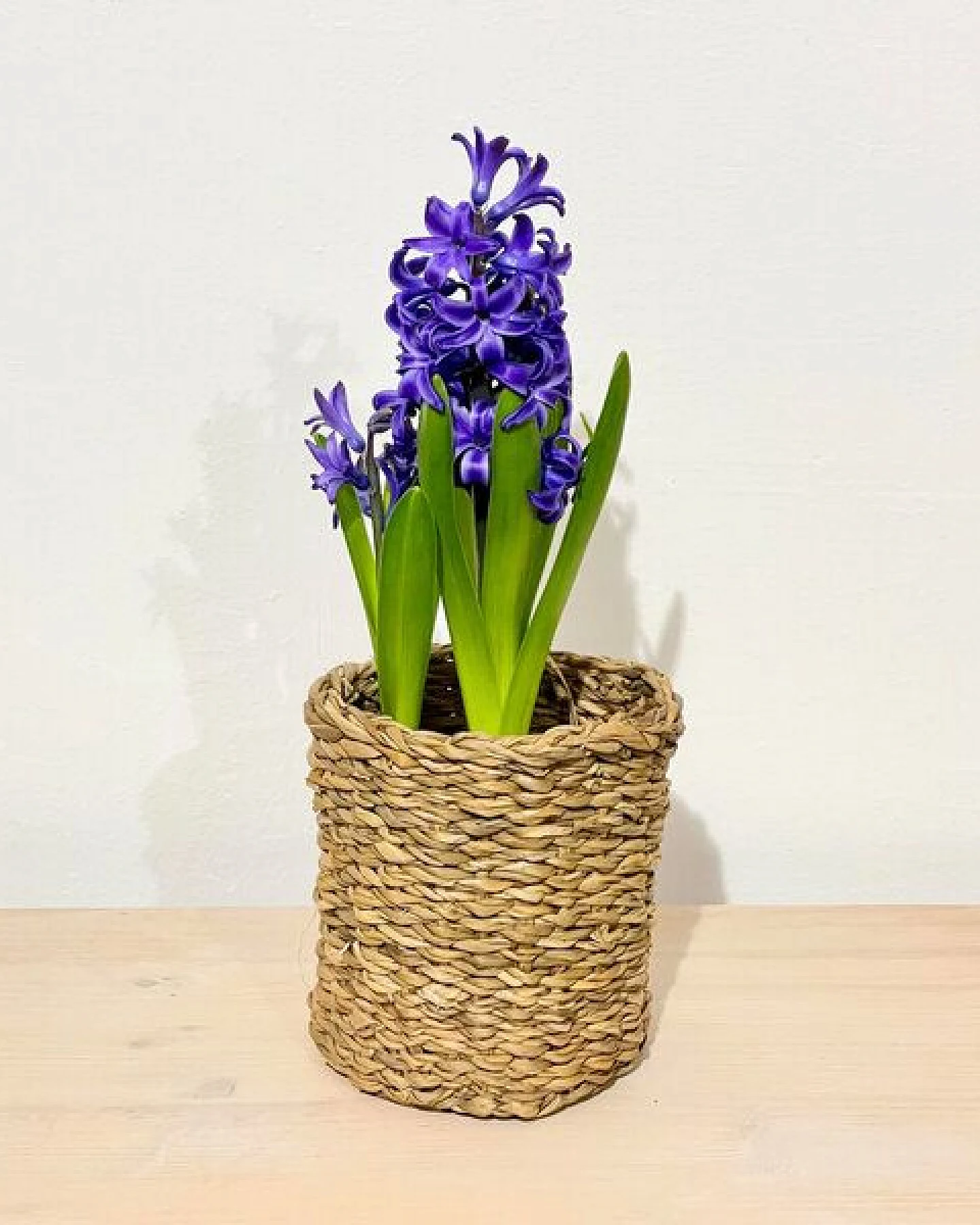 Originalhome Hogla Körbe rund in 3 Größen fairtrade – Ansicht 3