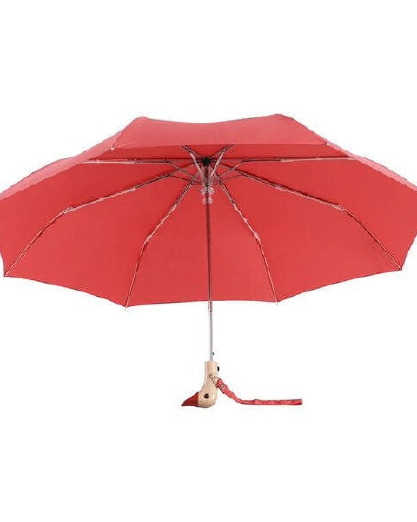 Original Duckhead Regenschirm – Ansicht 4