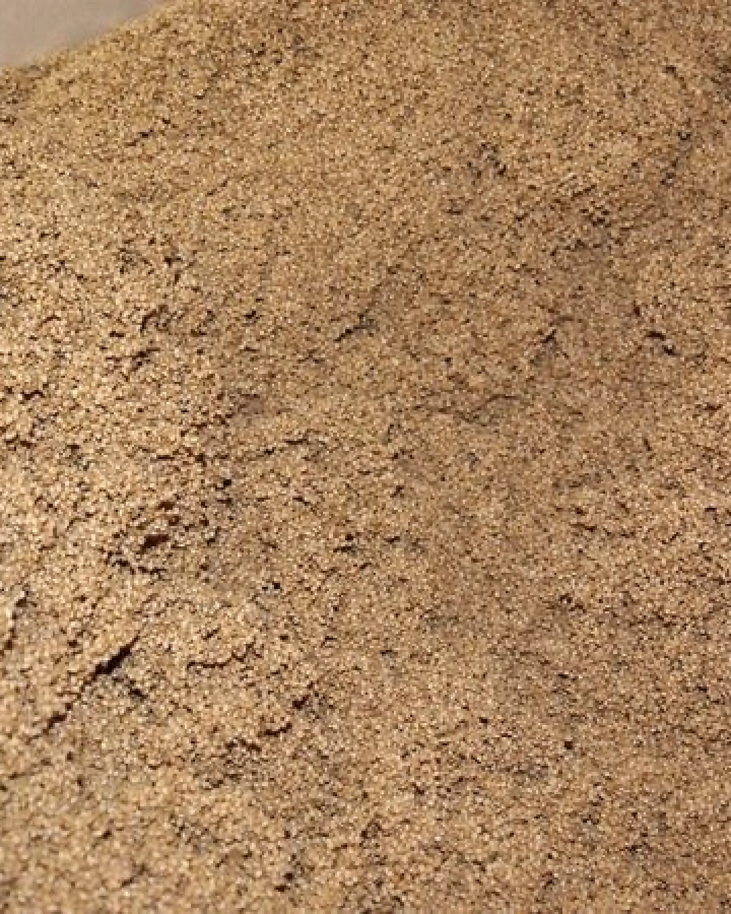 Speltex Nackenhörnchen mit Bio Hirseschalen und Kautschuk – Ansicht 3