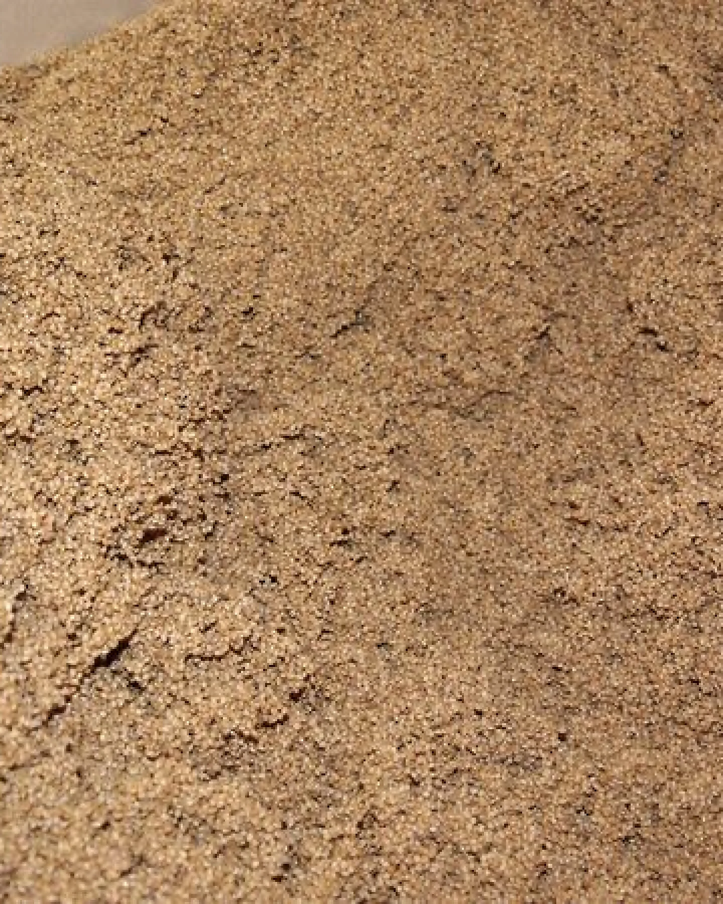 Speltex Nackenhörnchen mit Bio Hirseschalen und Kautschuk – Ansicht 3
