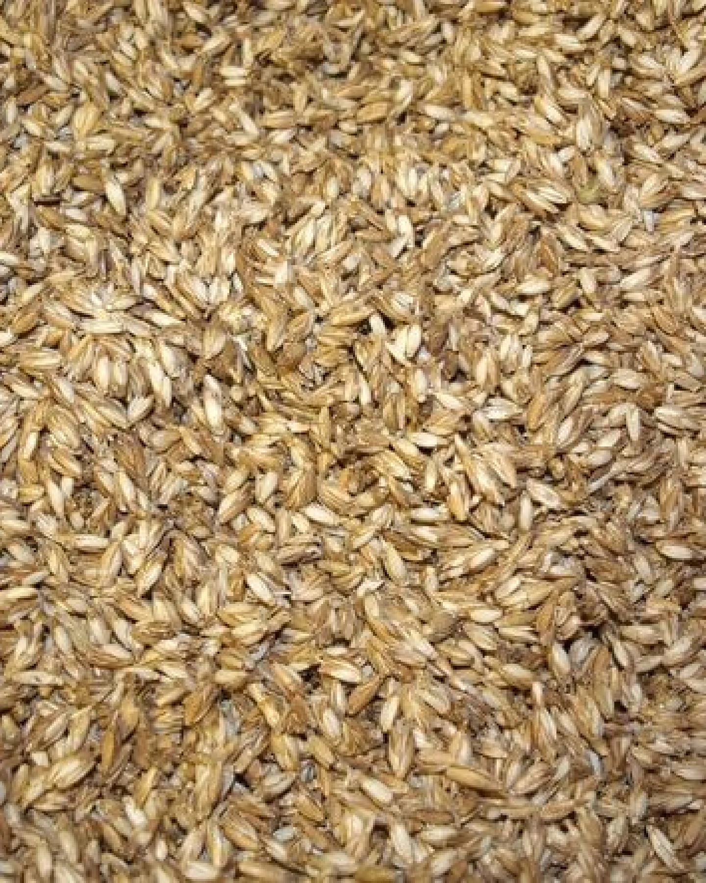 Speltex Nackenhörnchen Bio Dinkelspelz mit Kautschuk – Ansicht 3