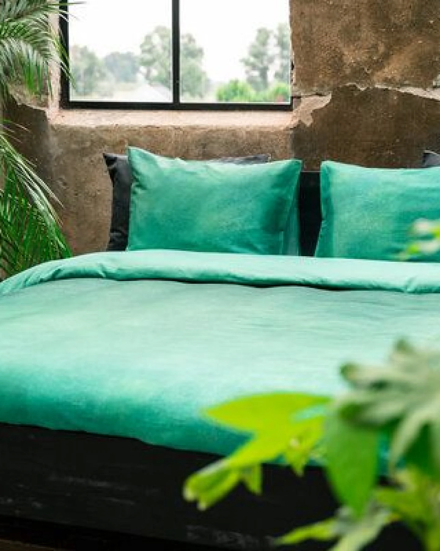 Kayori Nyoko - Bettwäsche - 100% Baumwolle-Satin – Ansicht 3