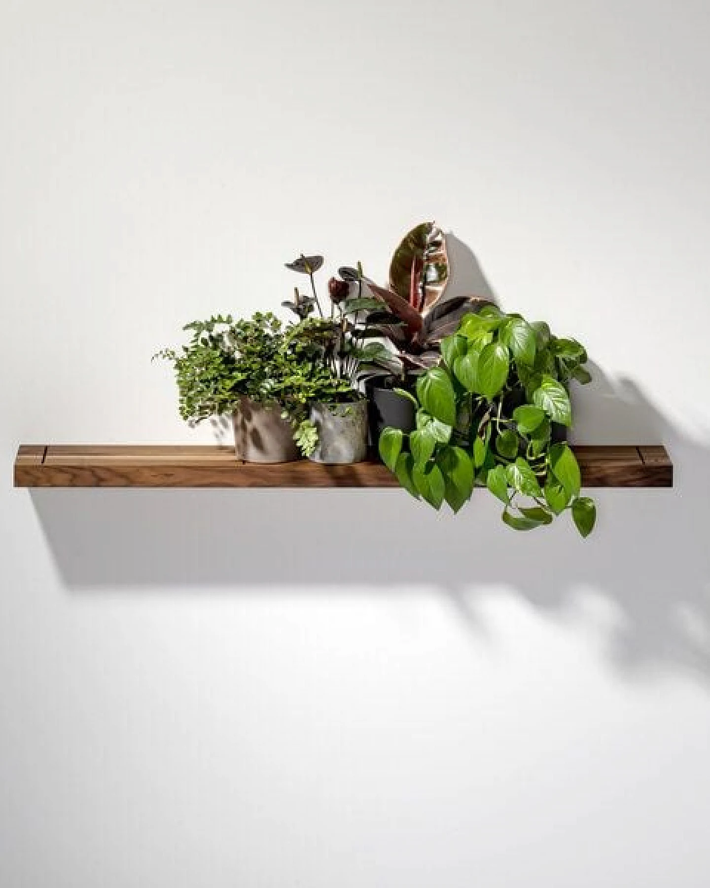 weld & co Wandregal Nussbaum 01 – Ansicht 4