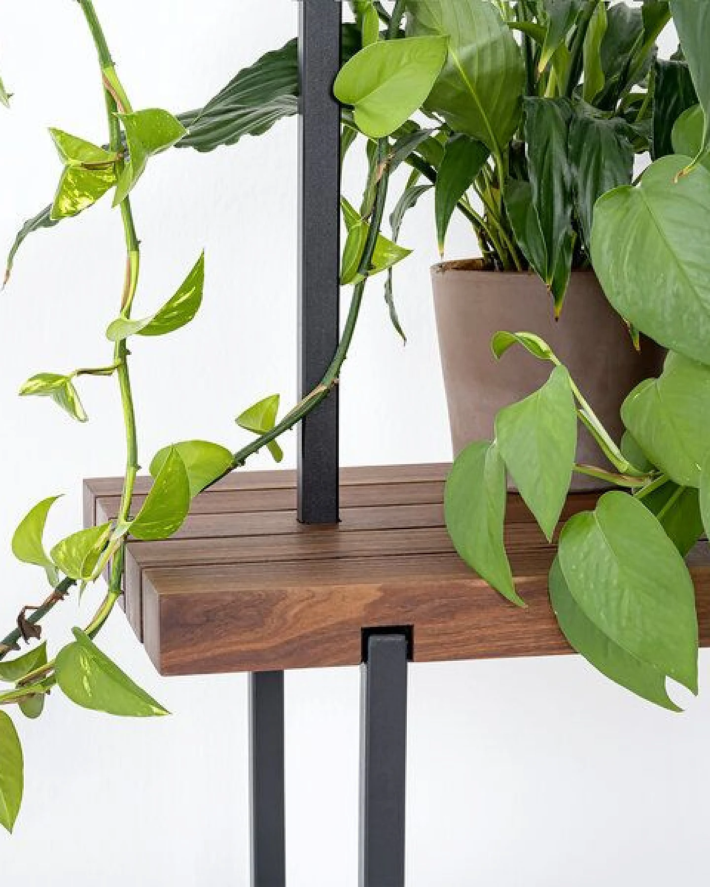 weld & co Garderobe Nussbaum 01 – Ansicht 3