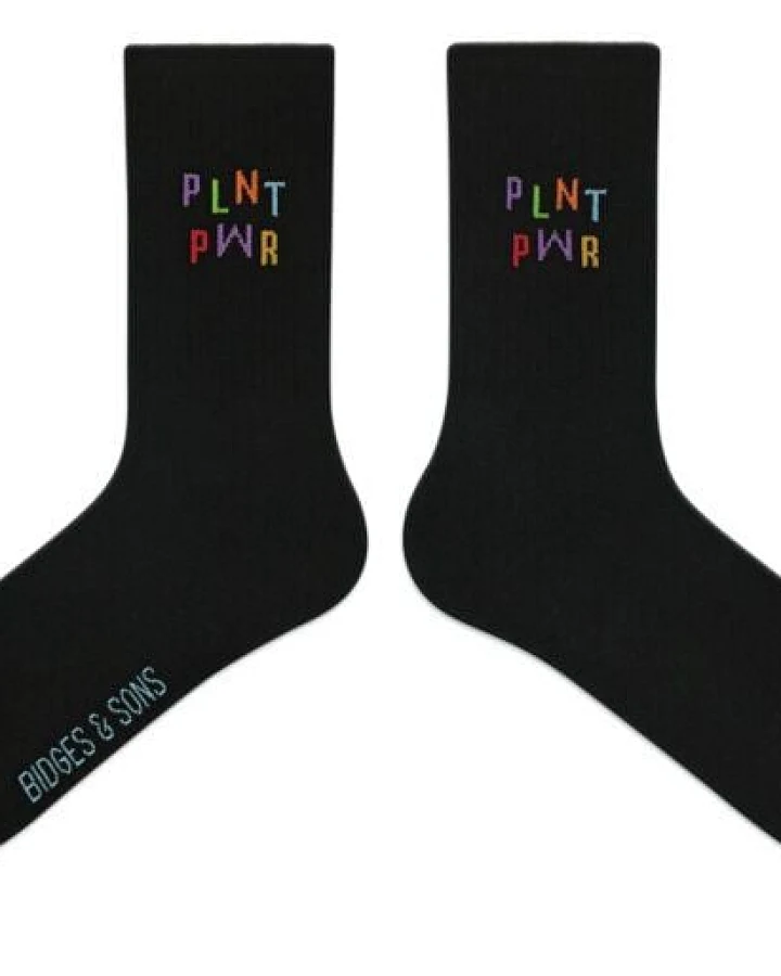 Bidges&Sons "PLNT PWR" Sportsocken