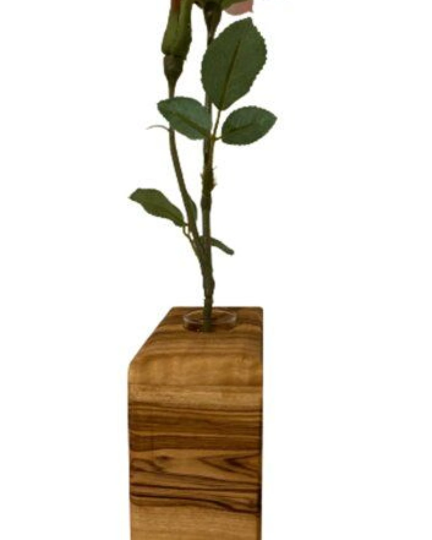 Olivenholz erleben Vase QUENTIN aus Olivenholz – Ansicht 2