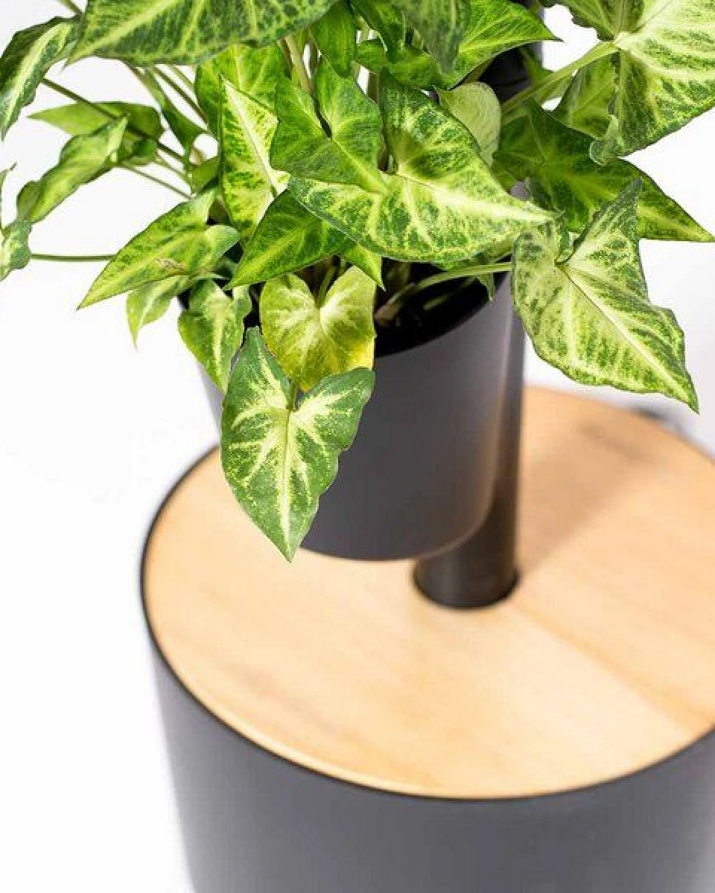 CitySens vertikaler Blumentopf mit automatischer Bewässerung; 3 Blumentöpfe – Ansicht 2