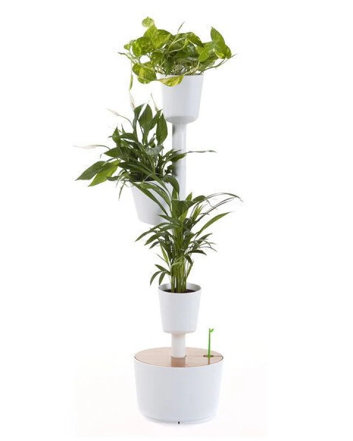 CitySens Vertikaler Blumentopf mit 3 luftreinigenden Pflanzen