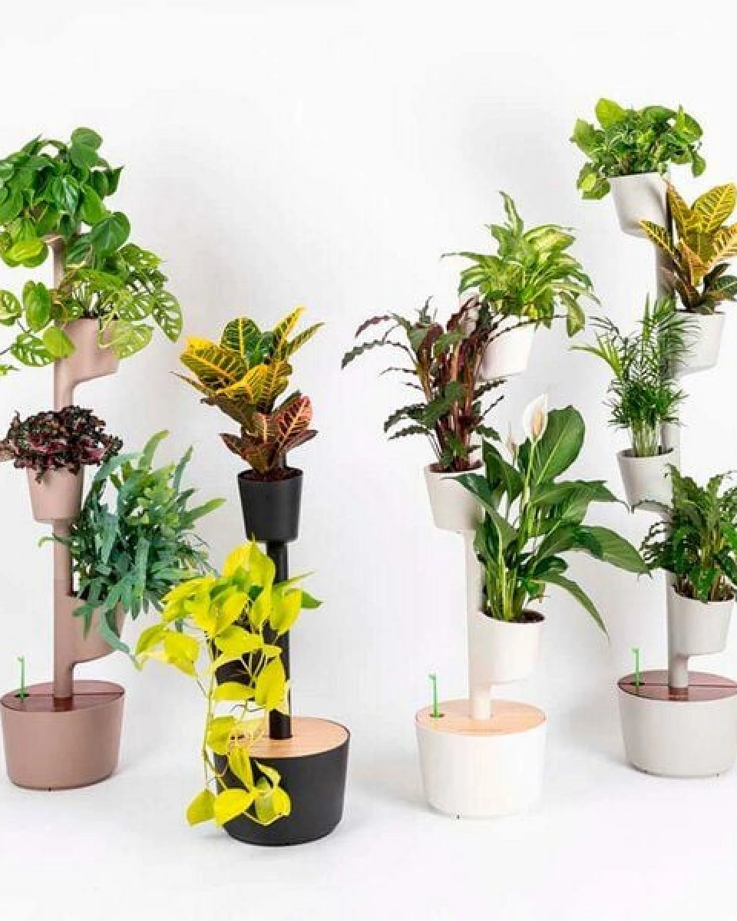 CitySens Vertikaler Blumentopf mit 3 luftreinigenden Pflanzen – Ansicht 3