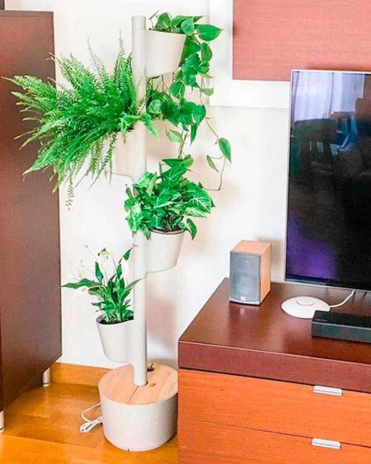 CitySens Vertikaler Blumentopf mit 3 luftreinigenden Pflanzen – Ansicht 3