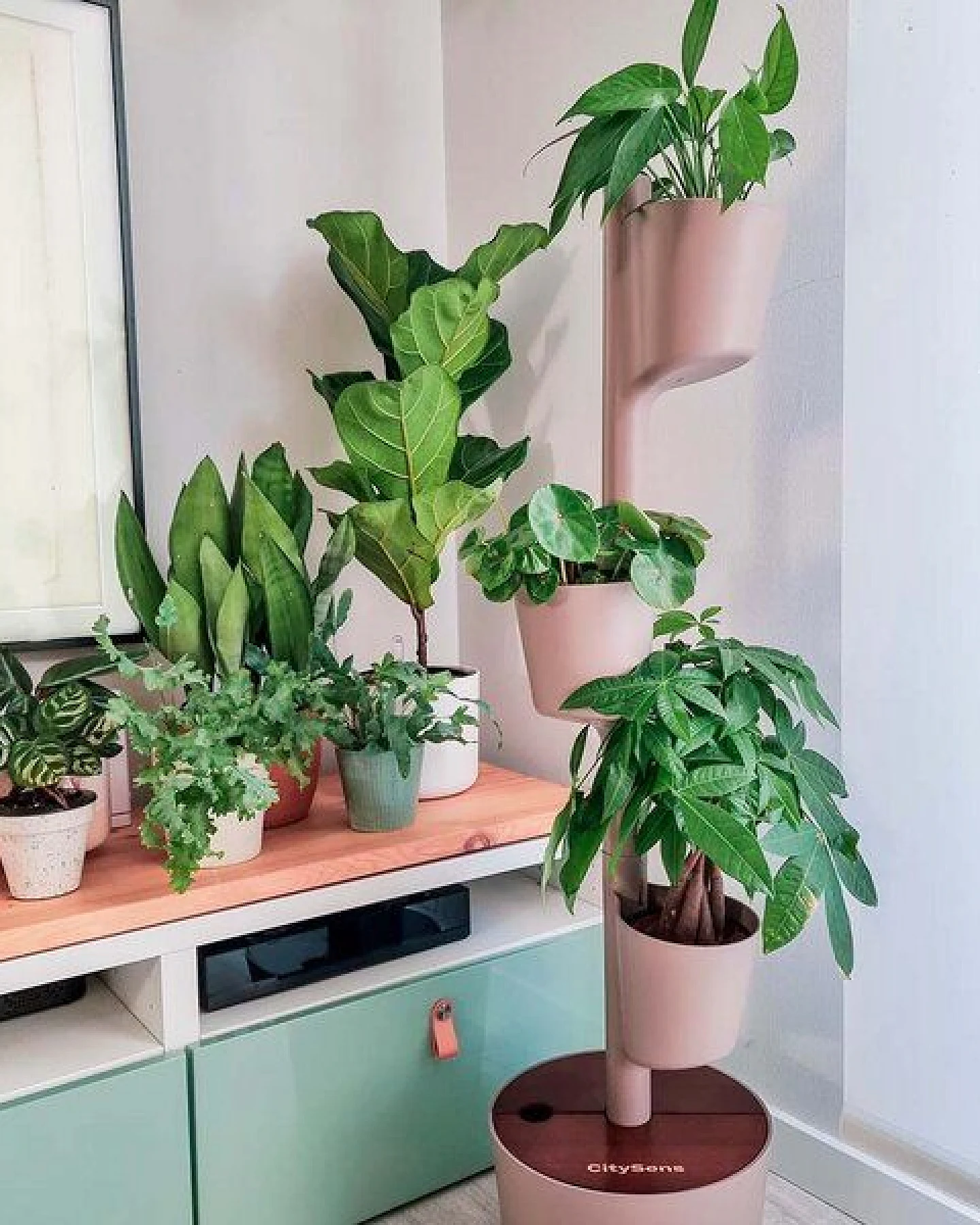 CitySens Vertikaler Blumentopf mit 3 luftreinigenden Pflanzen – Ansicht 4