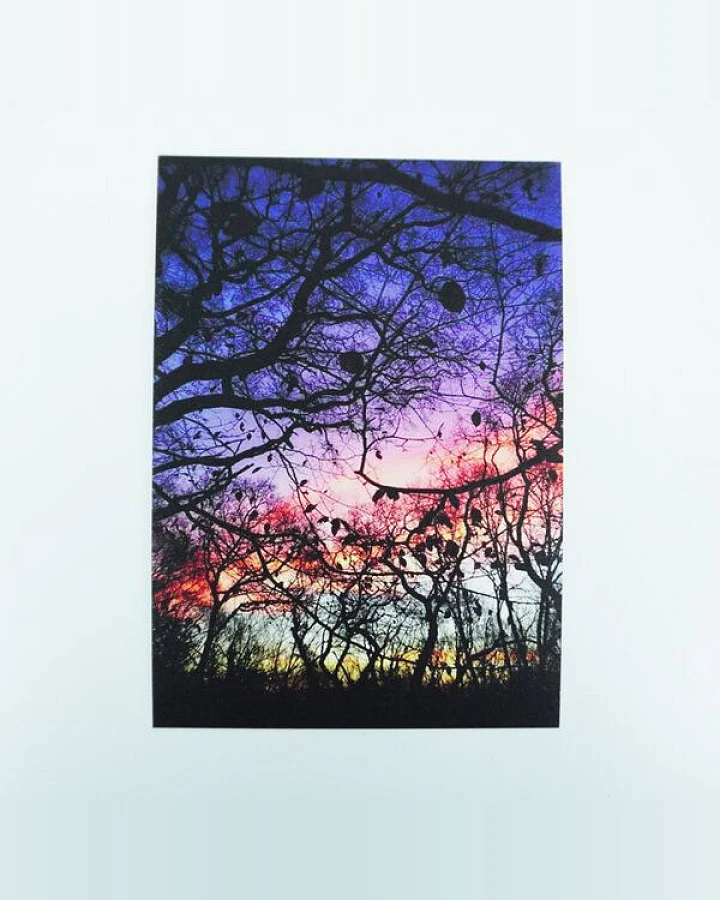 Burst Postkarten/ Geschenkkarten/ Fotokarten (gedruckt auf Naturpapier)