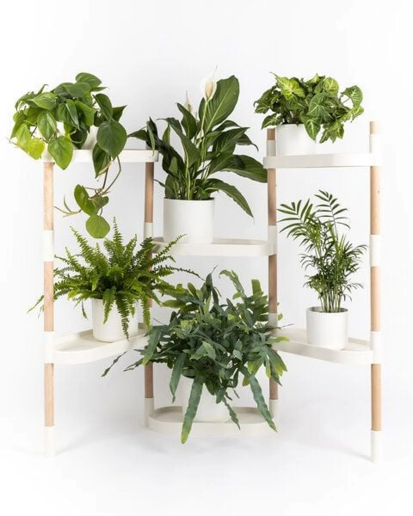 CitySens Blumenregal mit 6 Ablagen – Ansicht 4
