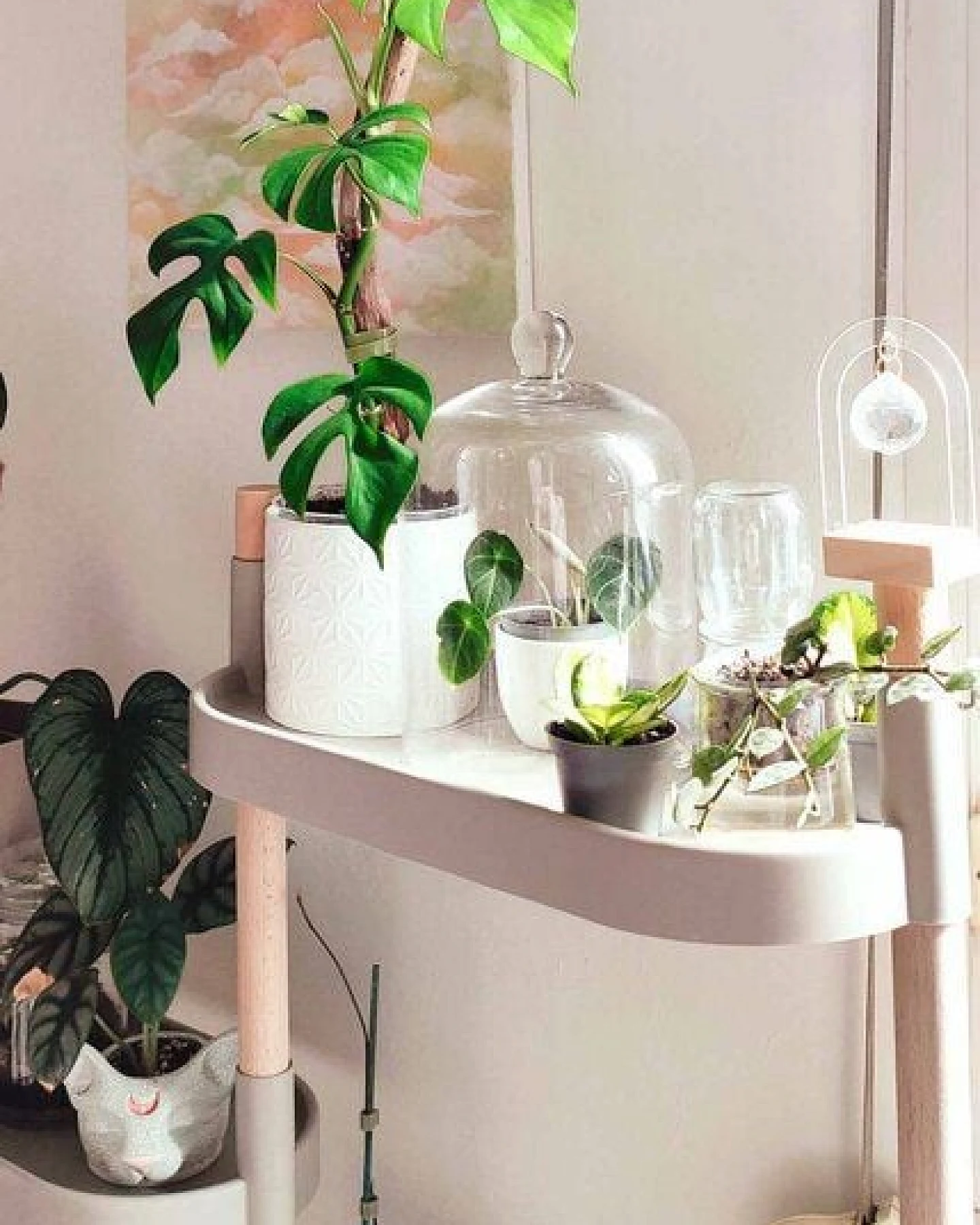 CitySens Blumenregal mit 6 Ablagen – Ansicht 4