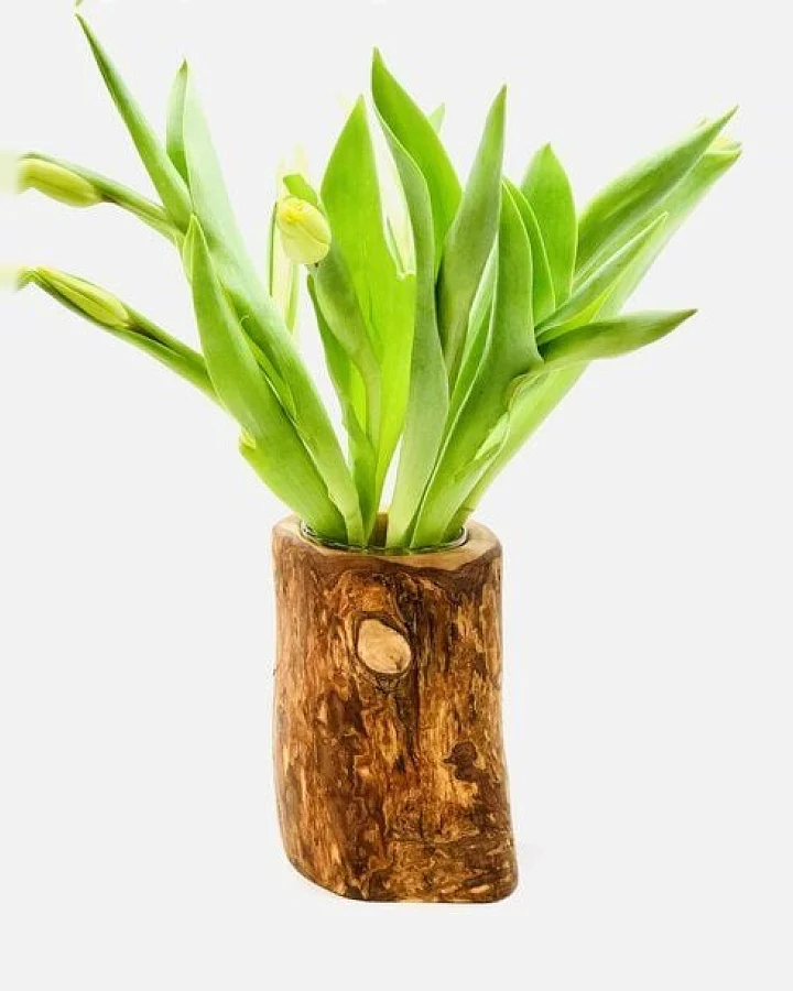 Olivenholz erleben Vase Valentina aus Olivenholz