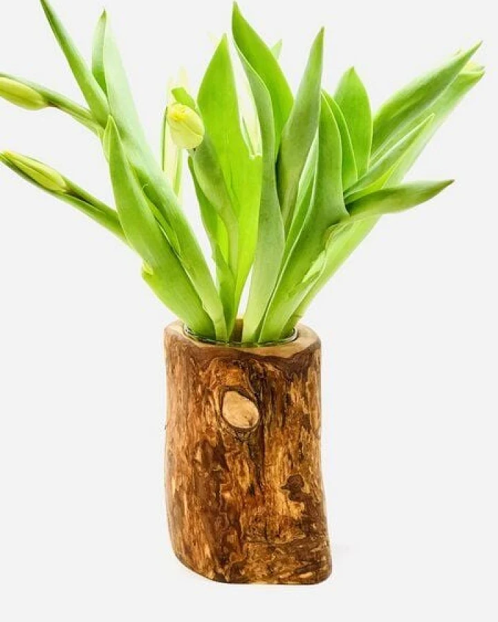 Olivenholz erleben Vase Valentina aus Olivenholz