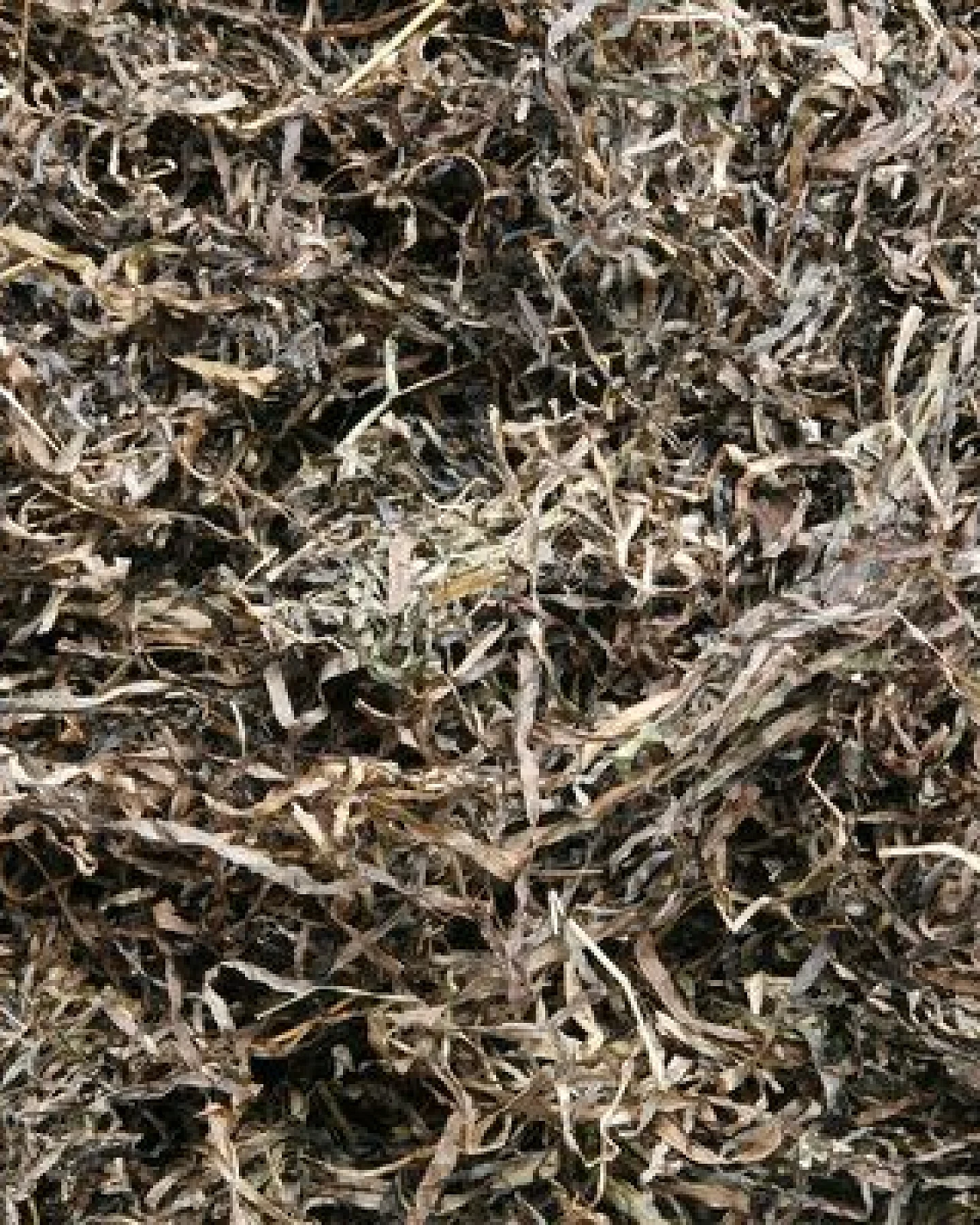 Speltex Kissen mit Seegras mit Kautschuk – Ansicht 2