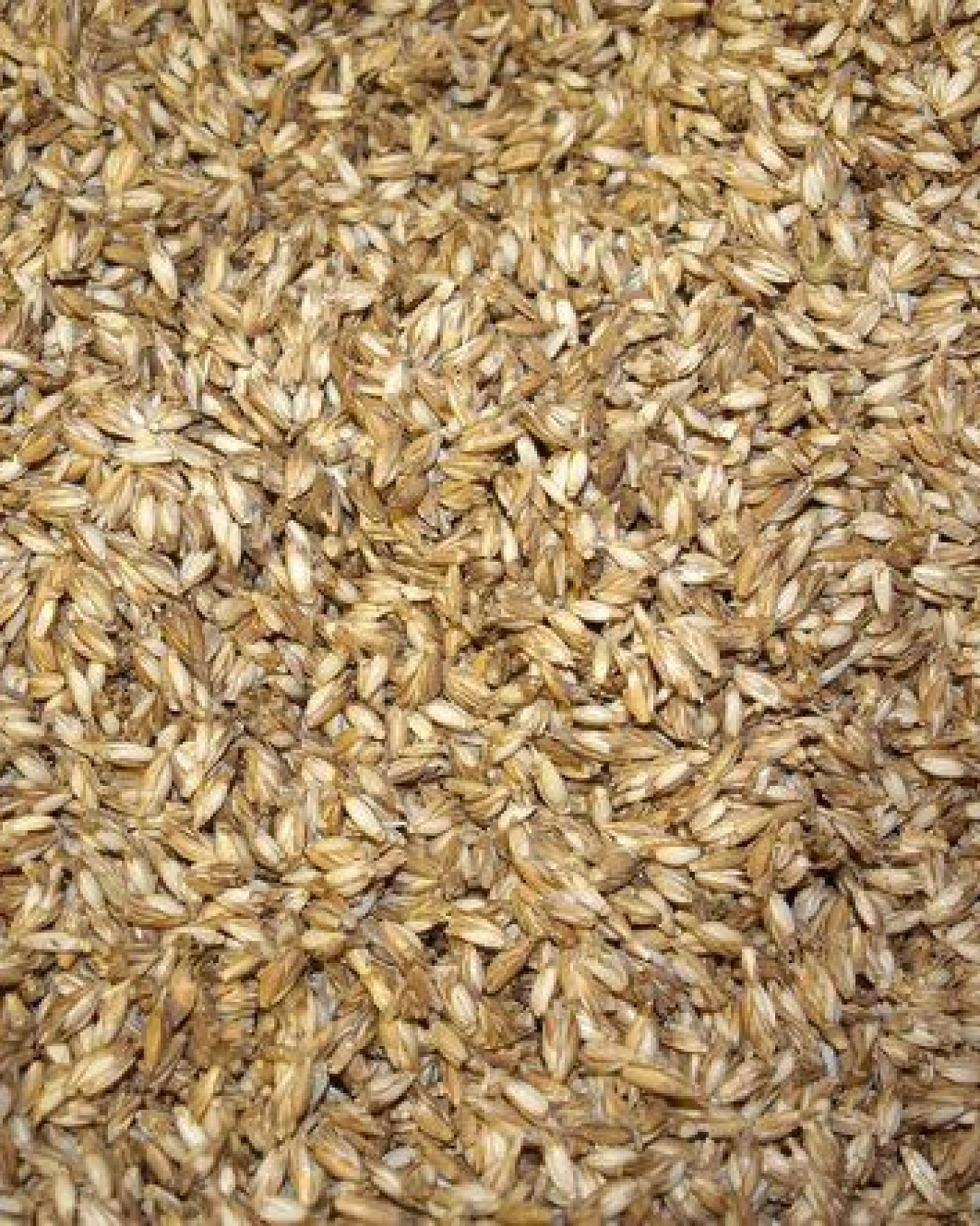 Speltex Schlafkissen mit Bio Dinkelspelzen und Kautschuk 40 x 60 cm – Ansicht 2