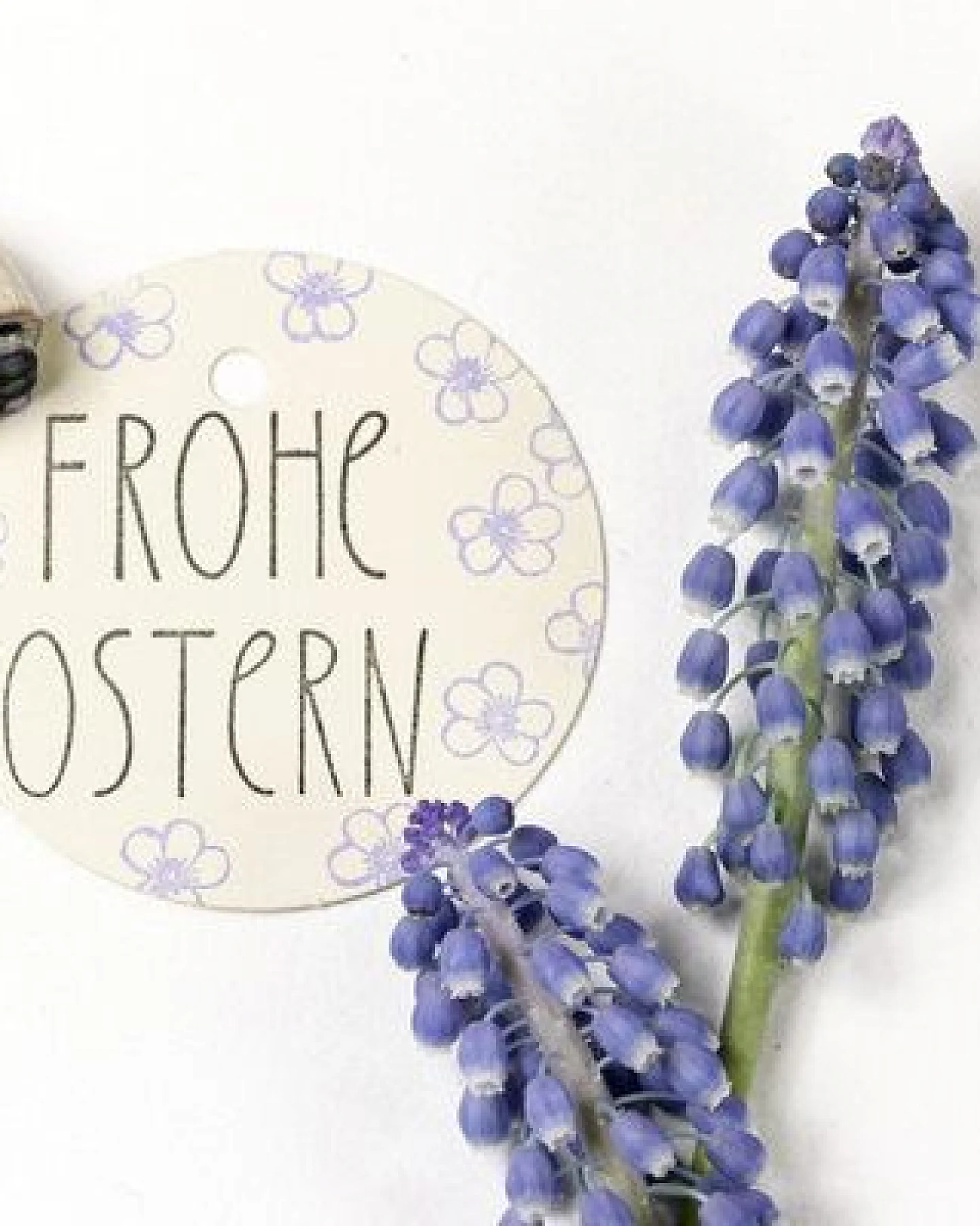 STUDIO KARAMELO STEMPEL FROHE OSTERN #02 – Ansicht 3