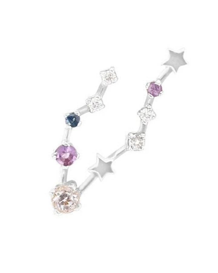 Eppi Ohrringe mit Sternzeichen Pisces