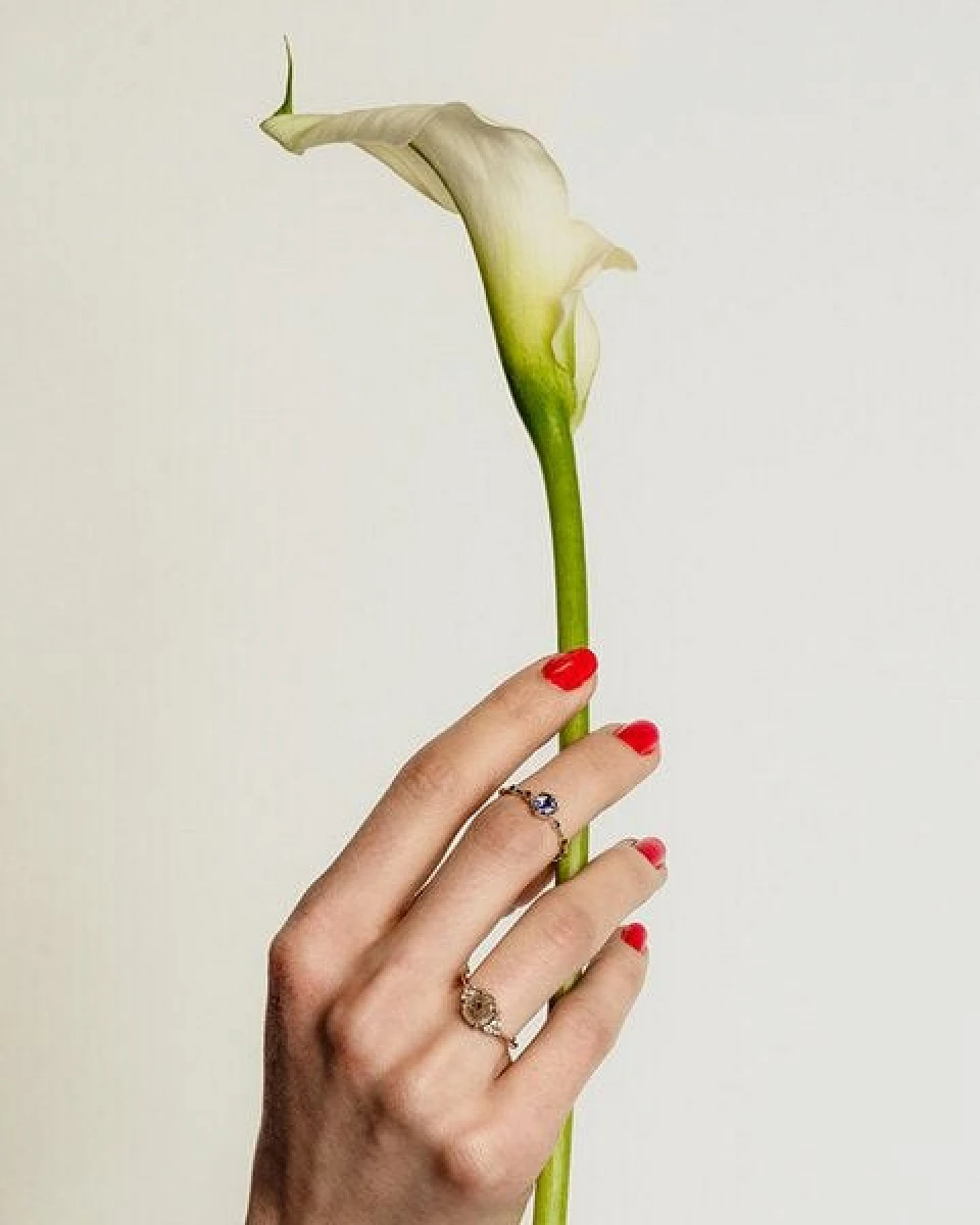 Eppi Ring mit Alexandrit und seitlichen Salt and Pepper Diamanten Imelda – Ansicht 2