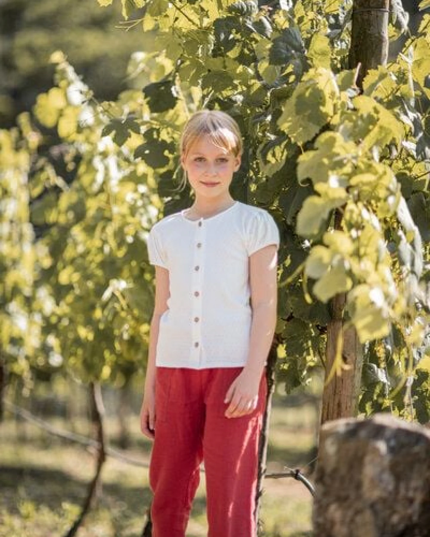 PETER JO Culotte Pants Daphne Terracotta aus Leinen – Ansicht 3