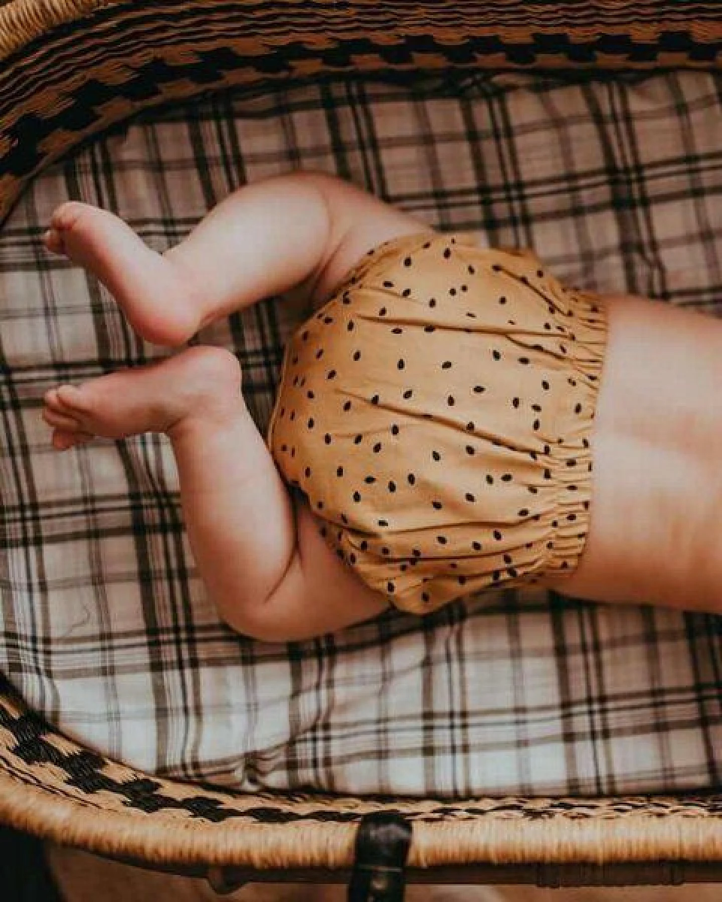 Baby Bloomers/ Short *Senf Punkte* Bio Baumwolle – Ansicht 4