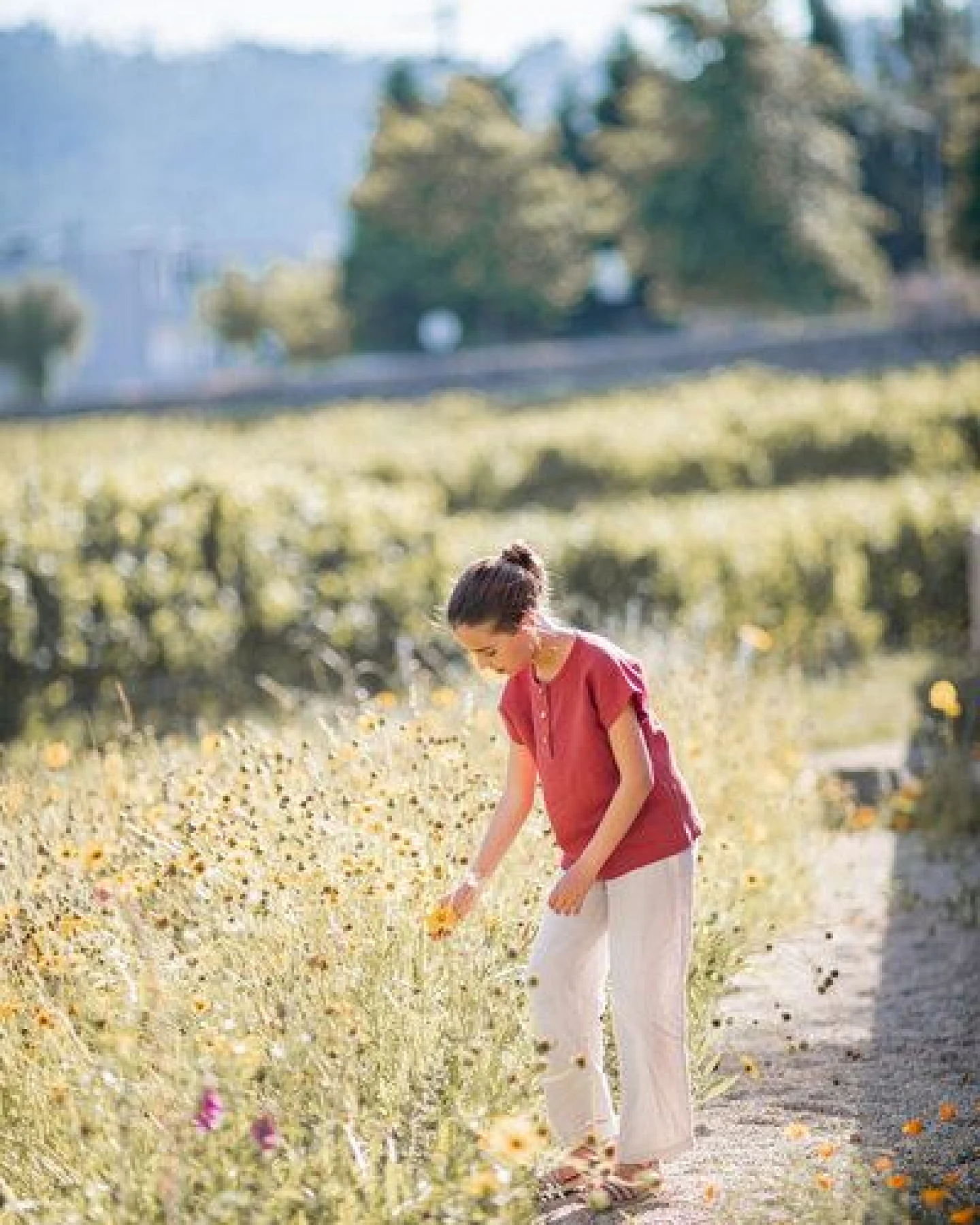 PETER JO Top Marigold aus Leinen – Ansicht 3