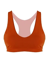 Rost (Orange)