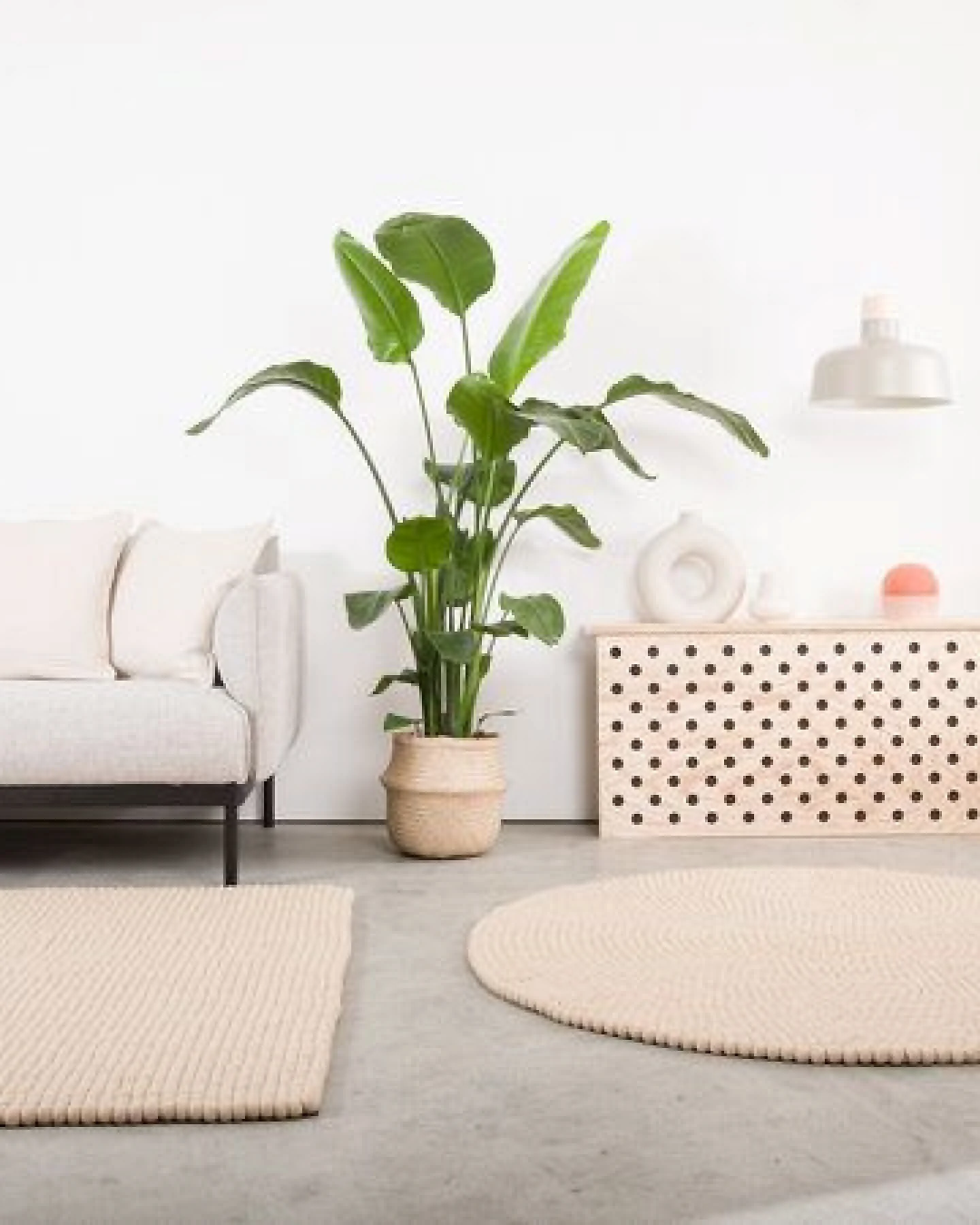 myfelt Filzkugelteppich rund, 100% Schurwolle – Ansicht 2