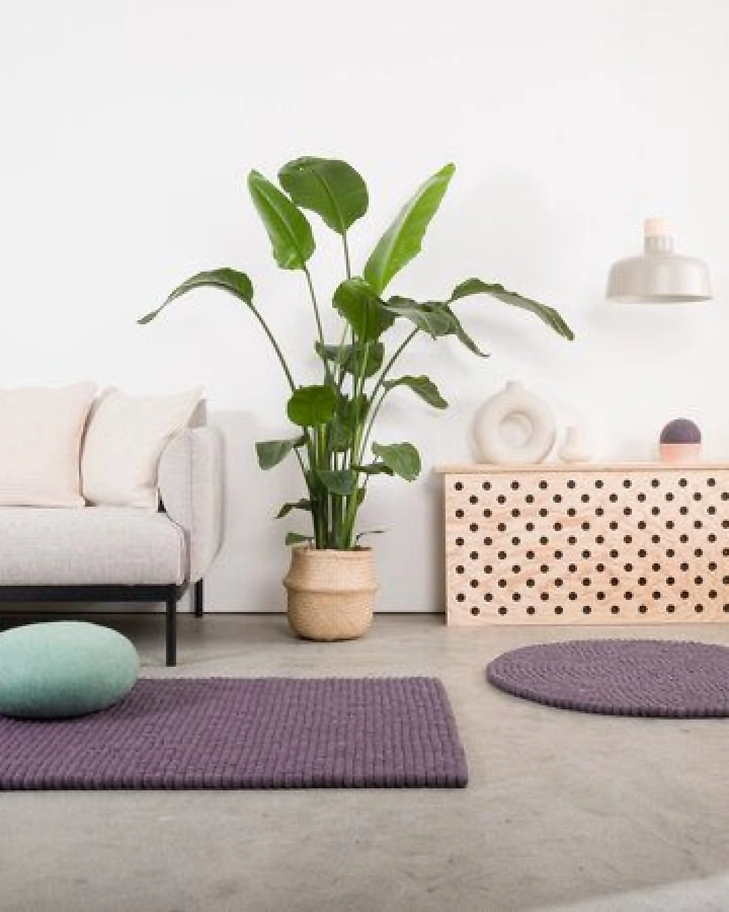 myfelt Filzkugelteppich rund, 100% Schurwolle – Ansicht 2
