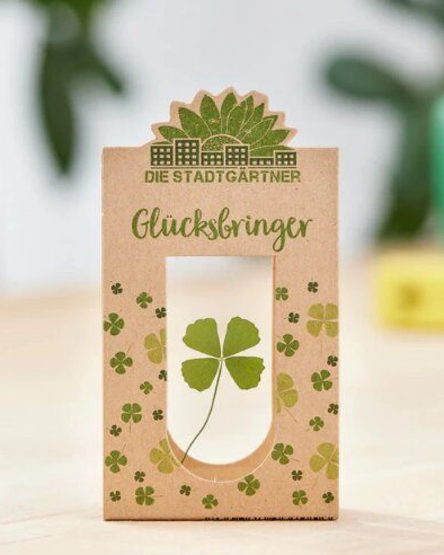Die Stadtgärtner Glücksbringer I Echtes vierblättriges Kleeblatt als Talisman-Geschenk – Ansicht 3