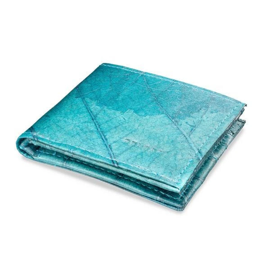 Spruce Blue