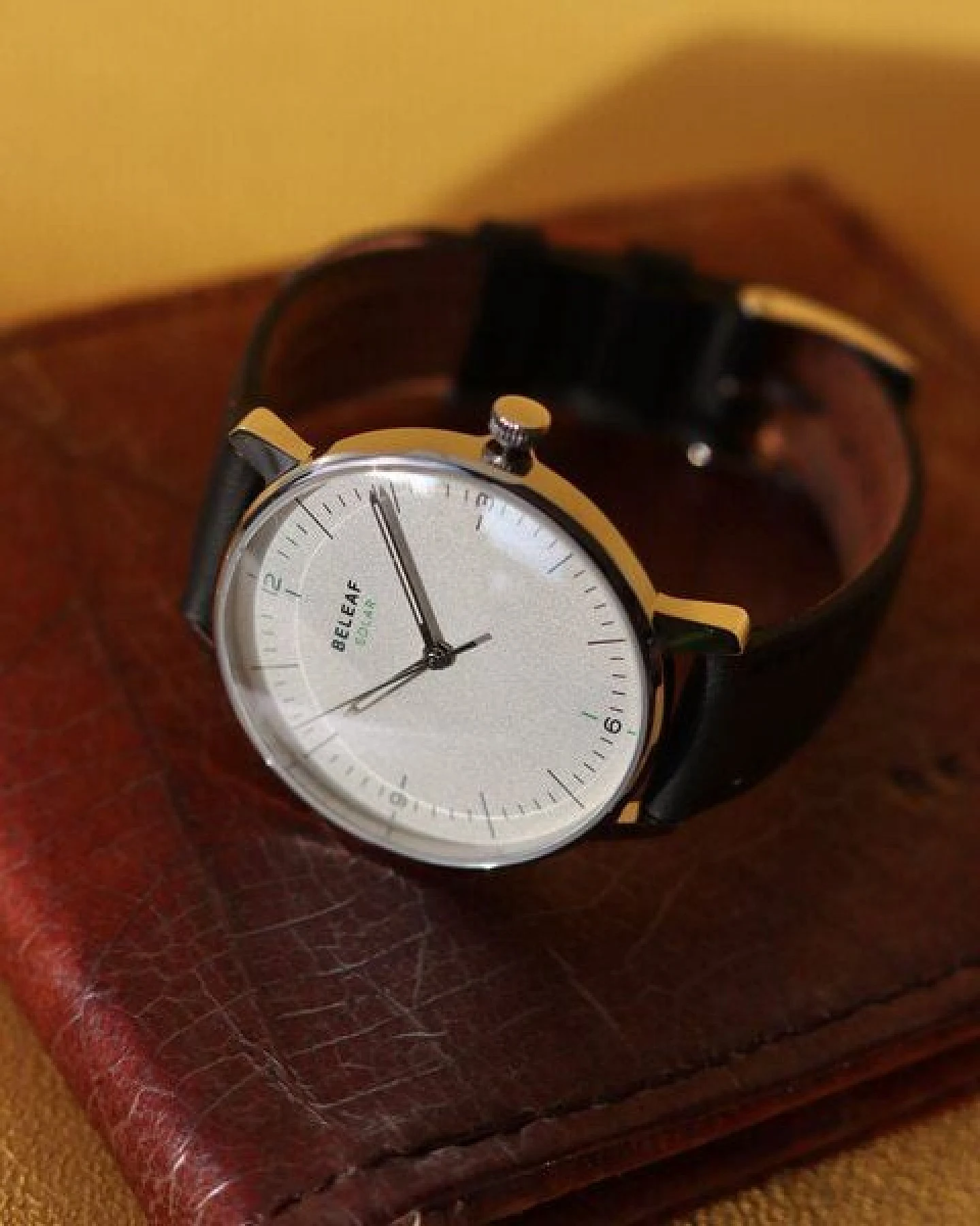 BELEAF "SOLAR SILVER" Uhr mit veganem Uhrenarmband aus Kork oder Milanaise (solarbetrieben) – Ansicht 2