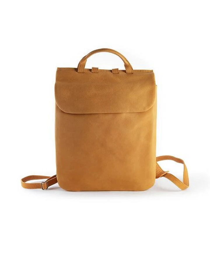Harold's CHS5 backpack