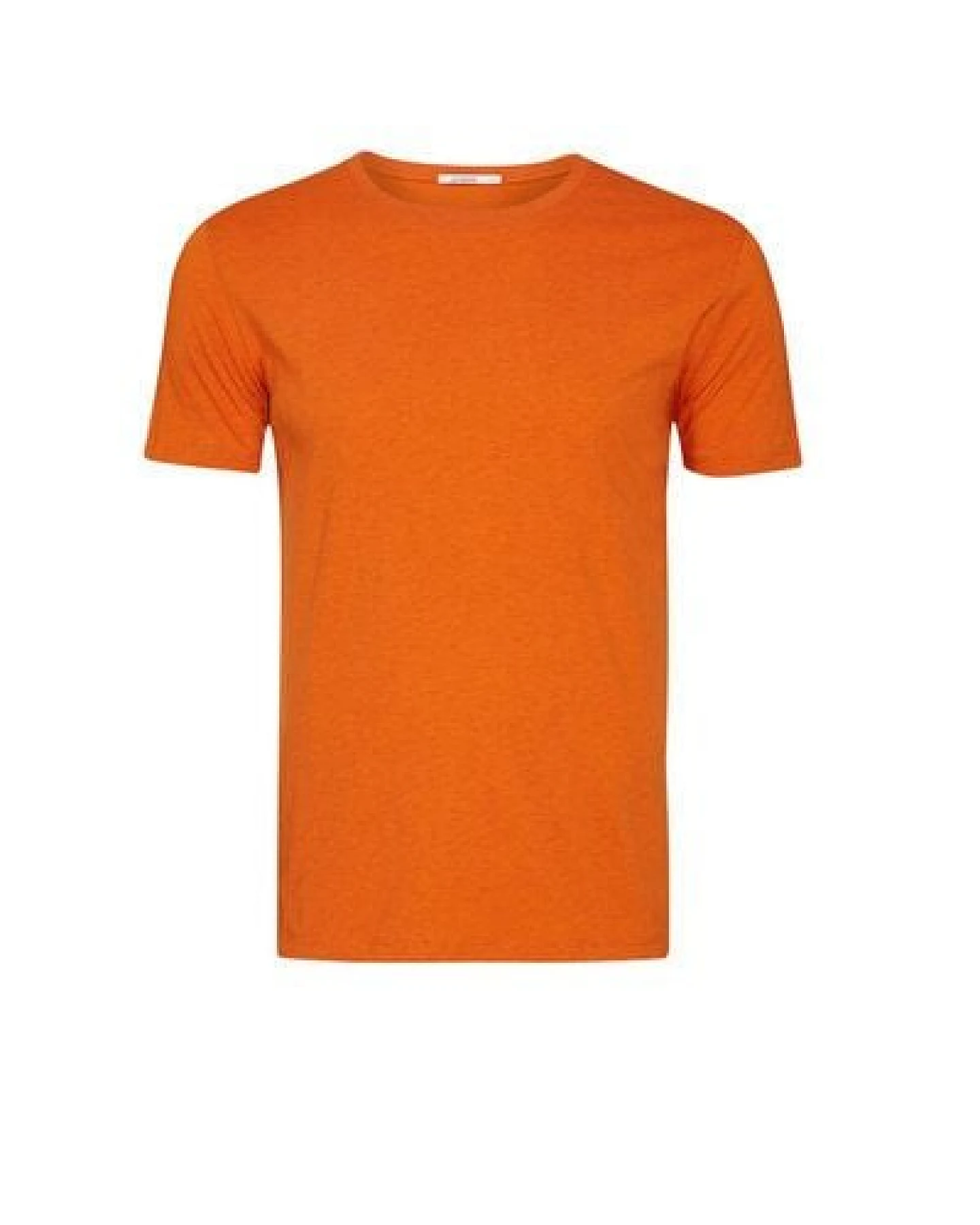 GREENBOMB Basic Guide - Sportliches T-Shirt aus Bio-Baumwolle / GOTS / Fair & Vegan – Ansicht 4