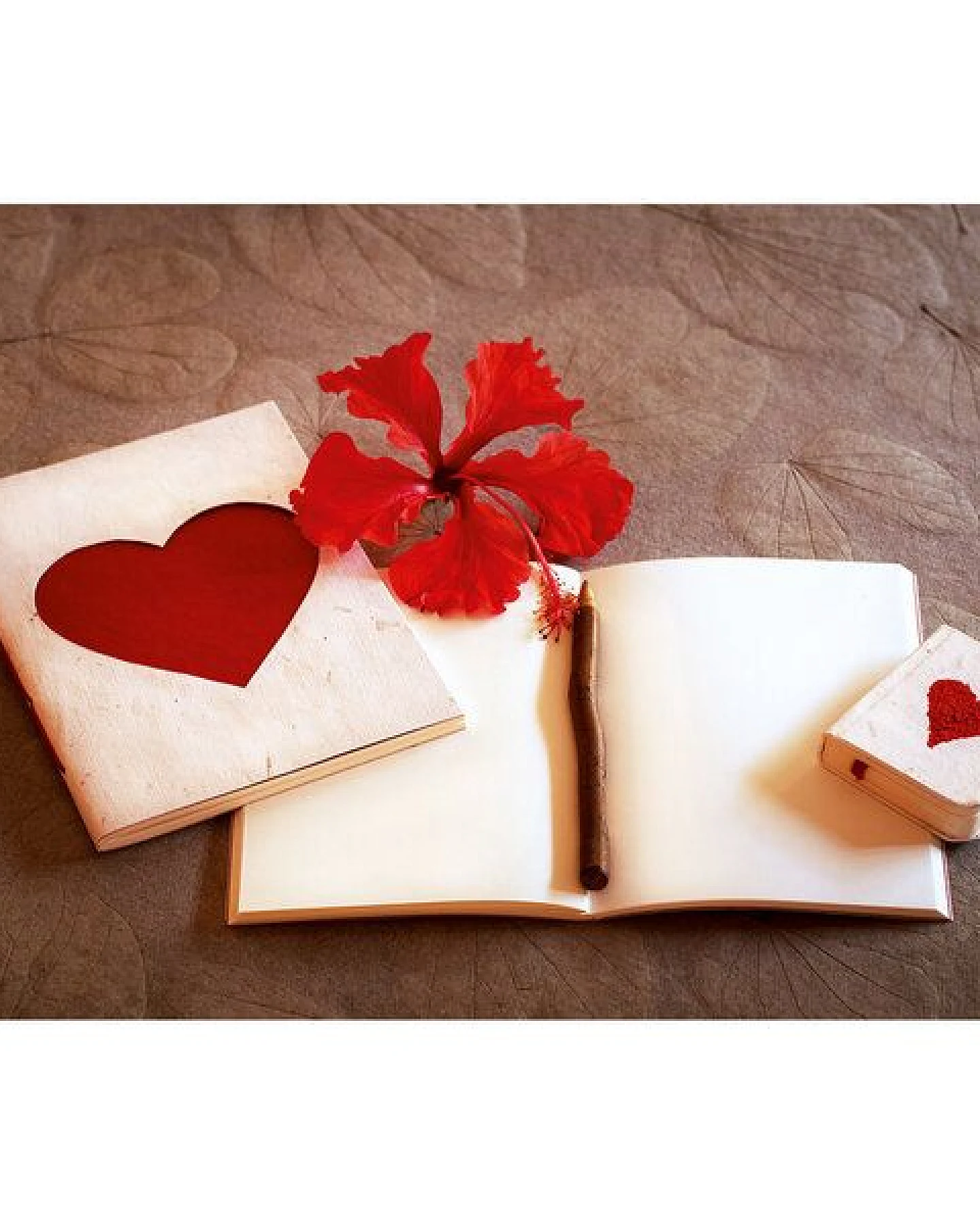 Sundara Notizbuch-Set „Love“ Biobaumwoll-Papier – Ansicht 2