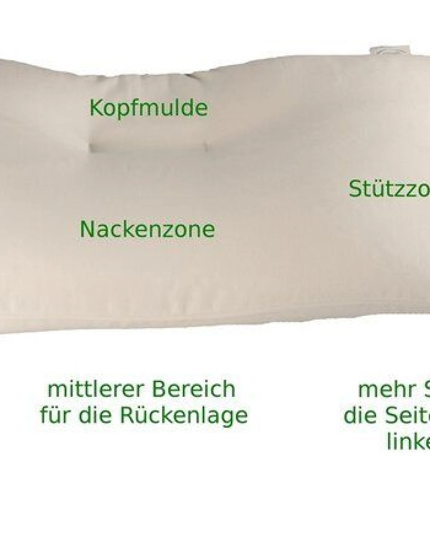 Speltex Ergonomisches Schlafkissen mit Dinkelspelzen und Kautschuk – Ansicht 2