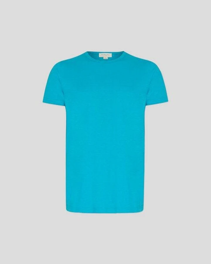 The Hemp Line Basic T-Shirt aus Hanf und Bio Baumwolle (21102)