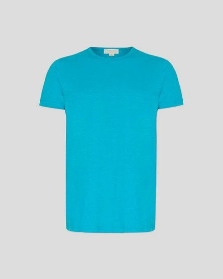 The Hemp Line Basic T-Shirt aus Hanf und Bio Baumwolle (21102)