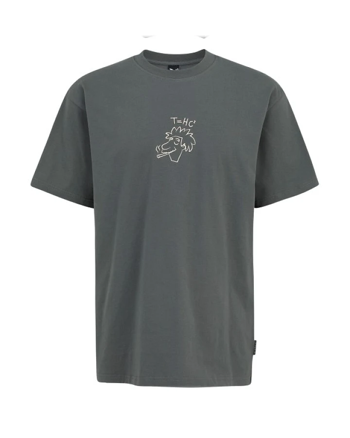 Iriedaily - New Theory T-Shirt - T-Shirt Gr S grau