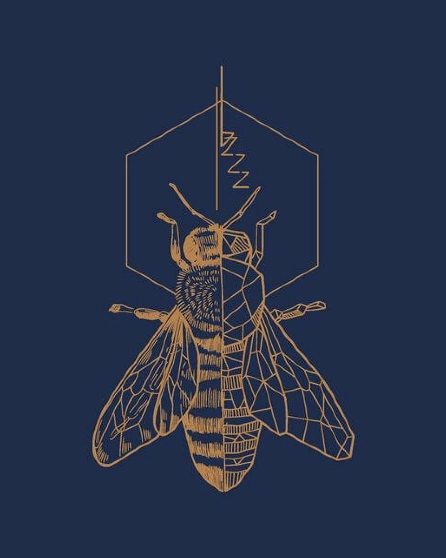 GARY MASH T-Shirt Die Biene aus Bio-Baumwolle – Ansicht 4