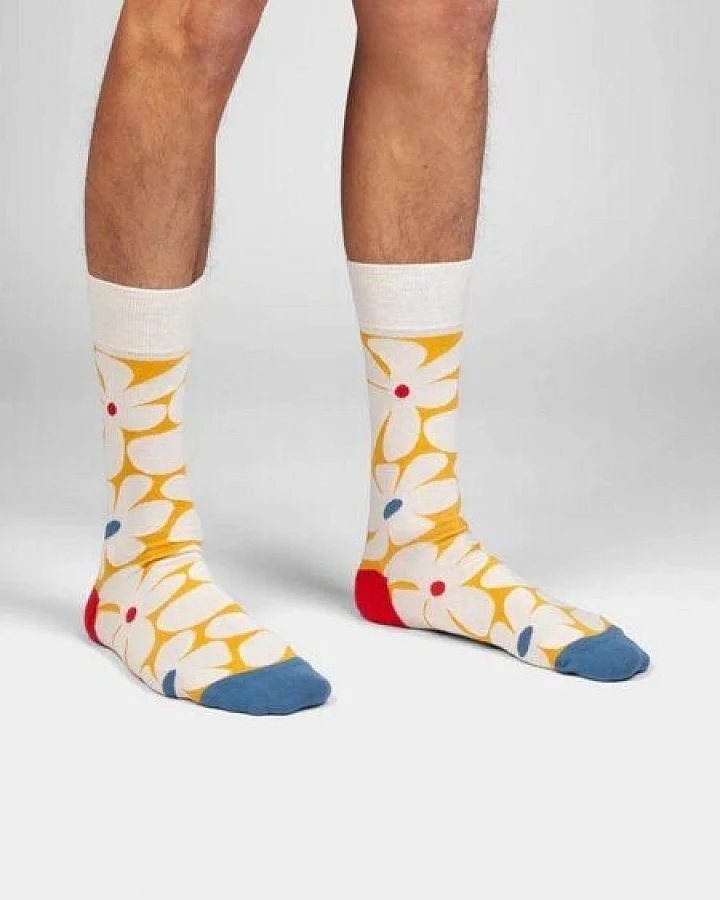 DillySocks Bunte Socken aus Bio-Baumwoll - Mix