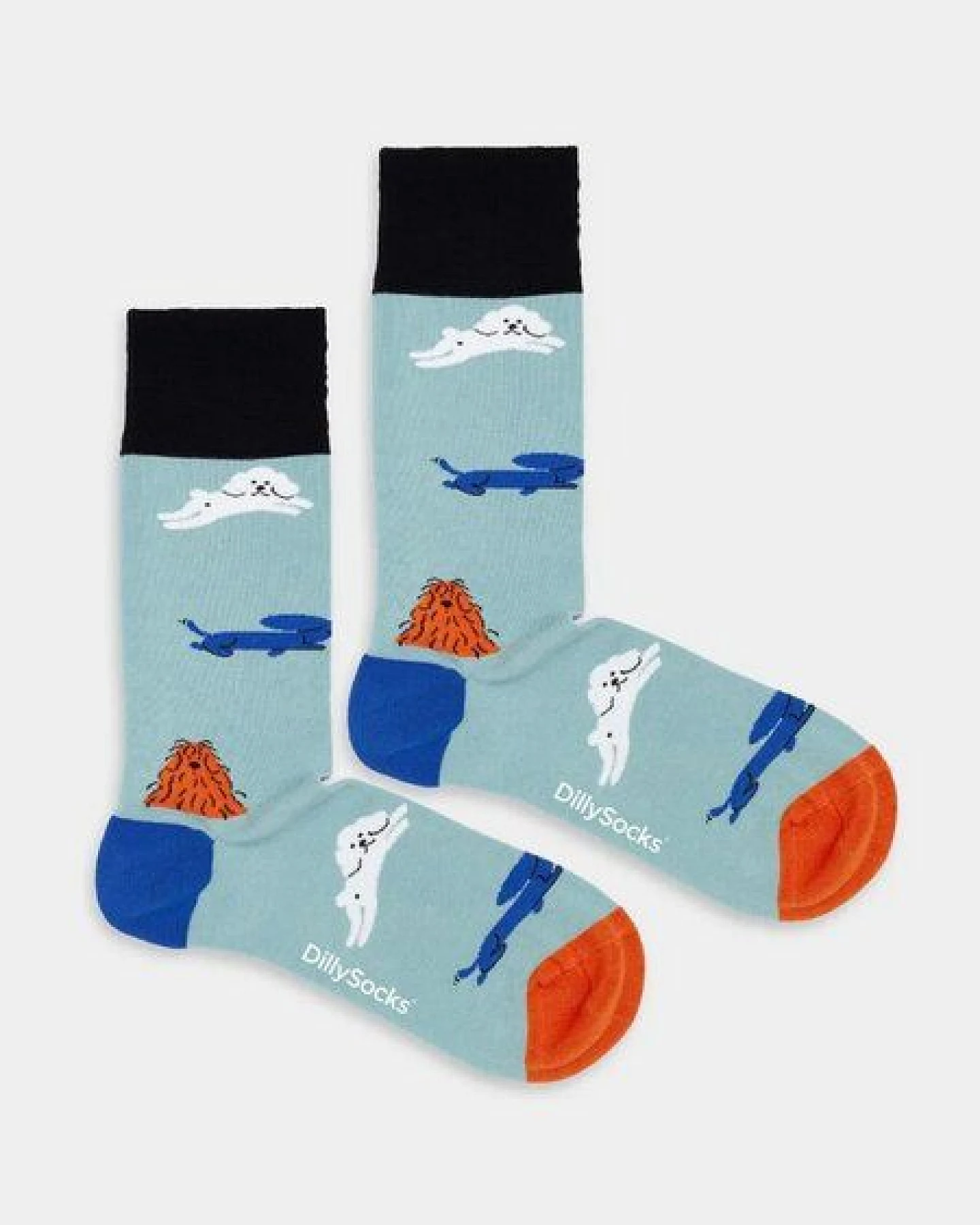 DillySocks Bunte Socken aus Bio-Baumwoll - Mix – Ansicht 2