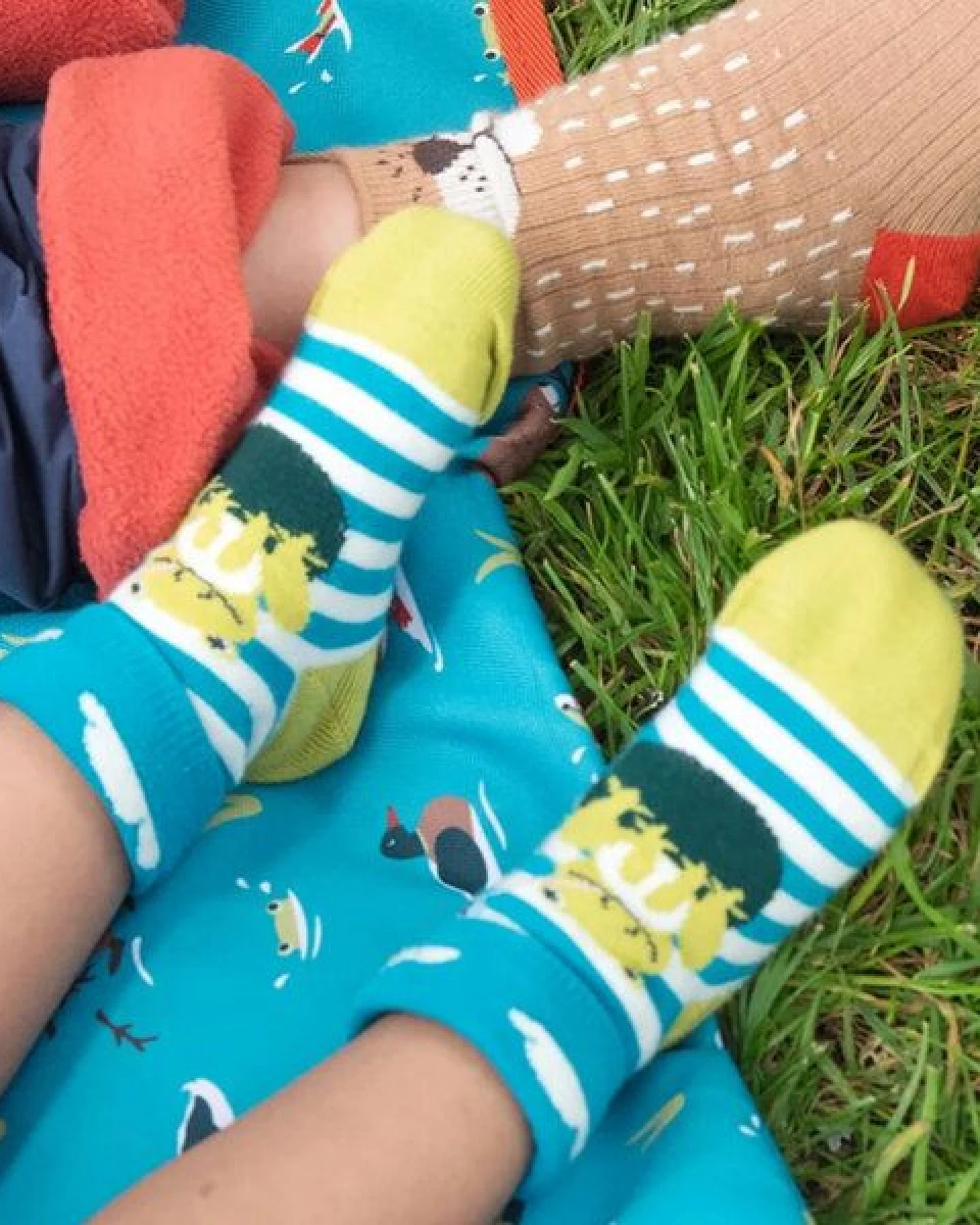 Frugi Lustige Kindersocken im 2er-Pack aus Biobaumwolle – Ansicht 2