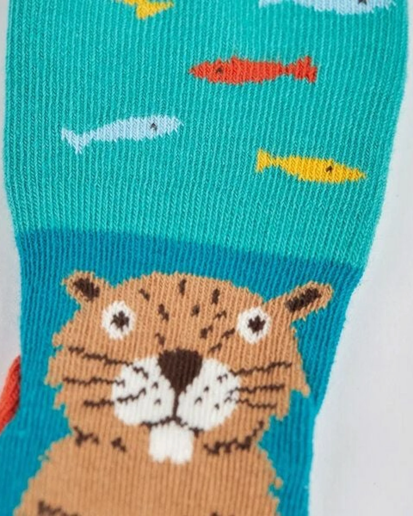 Frugi Lustige Kindersocken im 2er-Pack aus Biobaumwolle – Ansicht 3