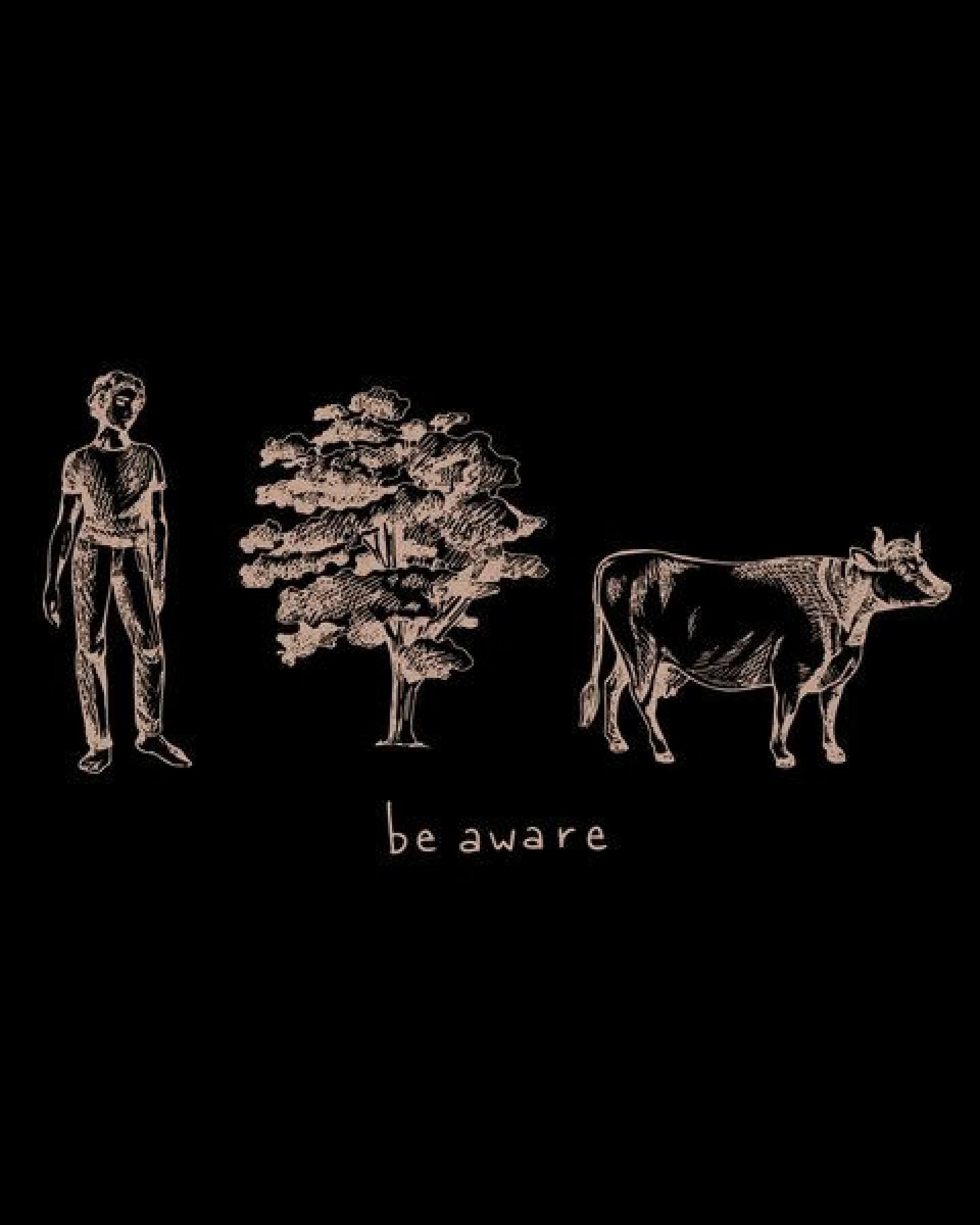 GARY MASH T-Shirt be aware aus Bio-Baumwolle – Ansicht 2