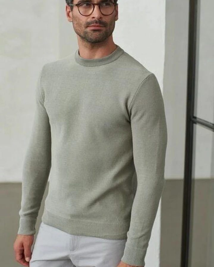 About Companions Klassischer Crewneck-Strickpullover MORTEN aus Bio-Baumwollgarn