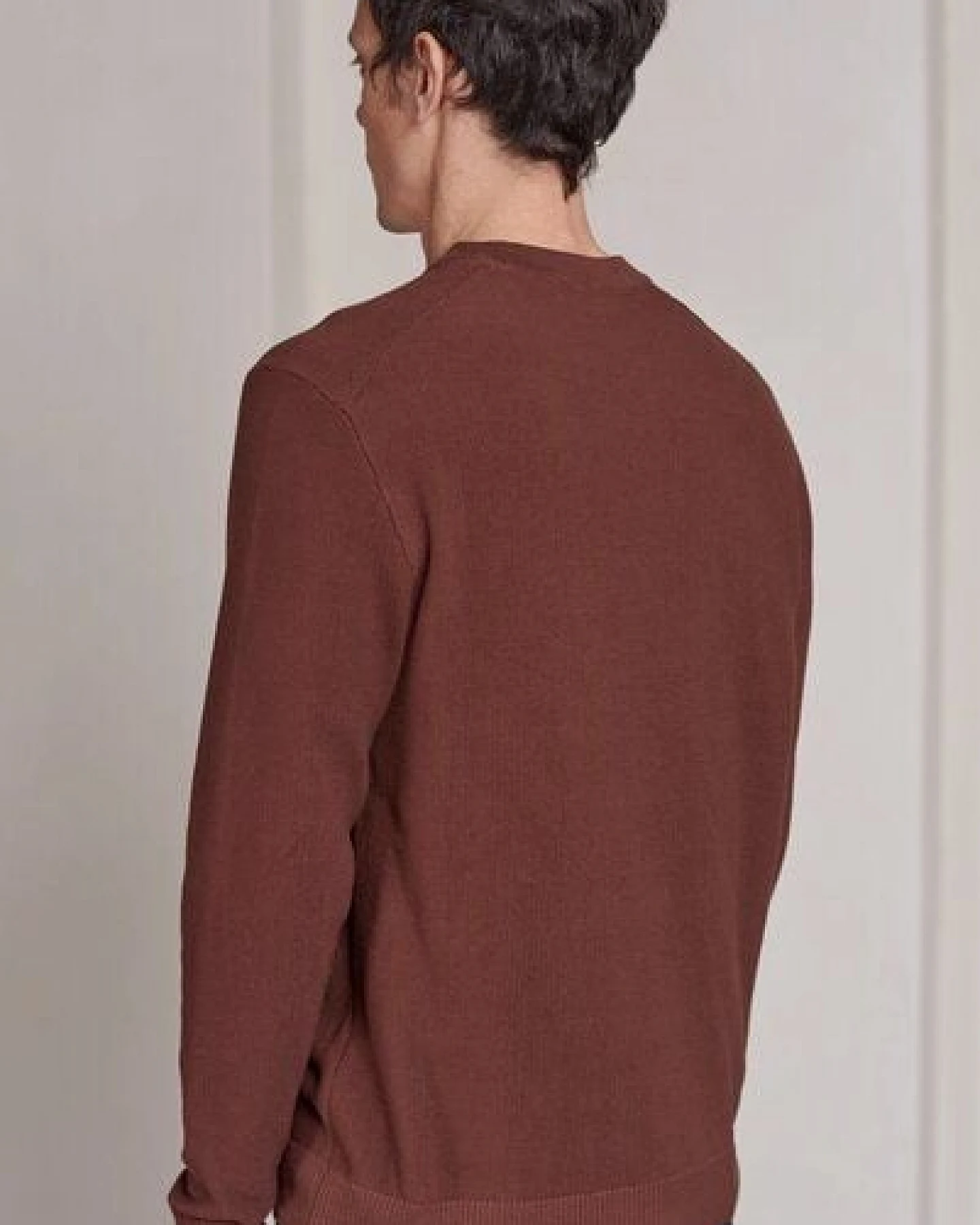 About Companions Klassischer Crewneck-Strickpullover MORTEN aus Bio-Baumwollgarn – Ansicht 4