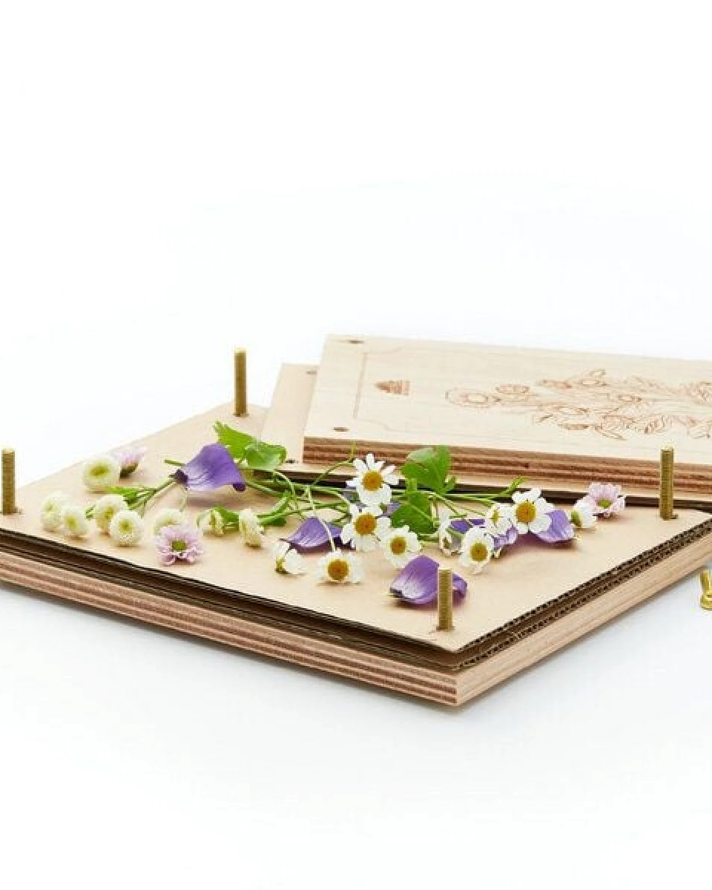 Die Stadtgärtner Hochwertige Buchen-Blumenpresse mit großer Pressfläche (190 x 250mm) – Ansicht 3